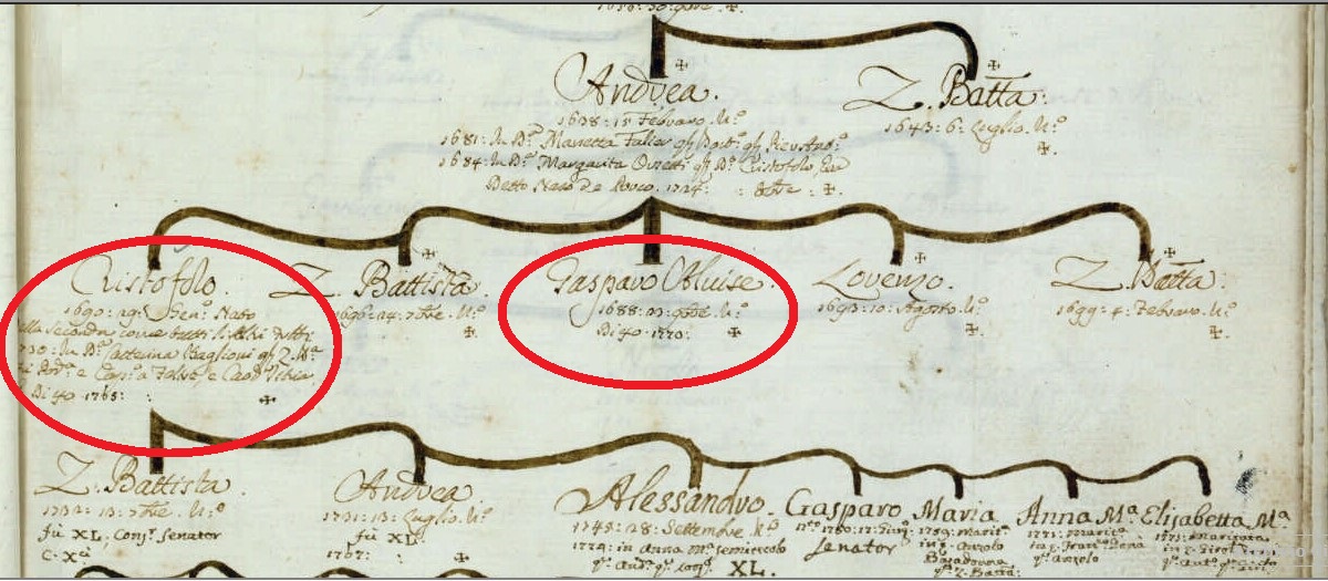 M. Barbaro, Genealogie di famiglie veneziane, 1751-1800 (ms. in Biblioteca del Museo Correr di Venezia, Cicogna 3622). Particolare dell’albero Venier.