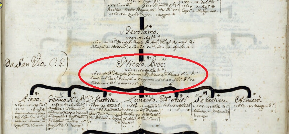 M. Barbaro, Genealogie di famiglie veneziane, 1751-1800 (ms. in Biblioteca del Museo Correr di Venezia, Cicogna 3622). Particolare dell’albero Venier.