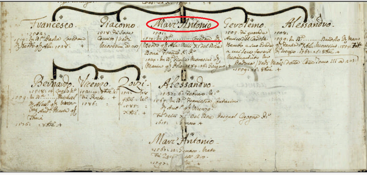 M. Barbaro, Genealogie di famiglie veneziane, 1751-1800 (ms. in Biblioteca del Museo Correr di Venezia, Cicogna 3622). Particolare dell’albero Querini.