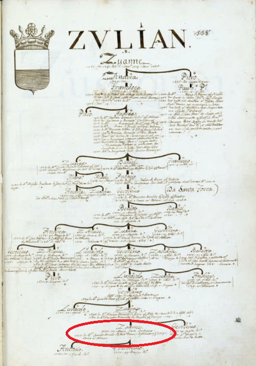 M. Barbaro, Genealogie di famiglie veneziane, 1751-1800 (ms. in Biblioteca del Museo Correr di Venezia, Cicogna 3622). Particolare dell’albero Venier.